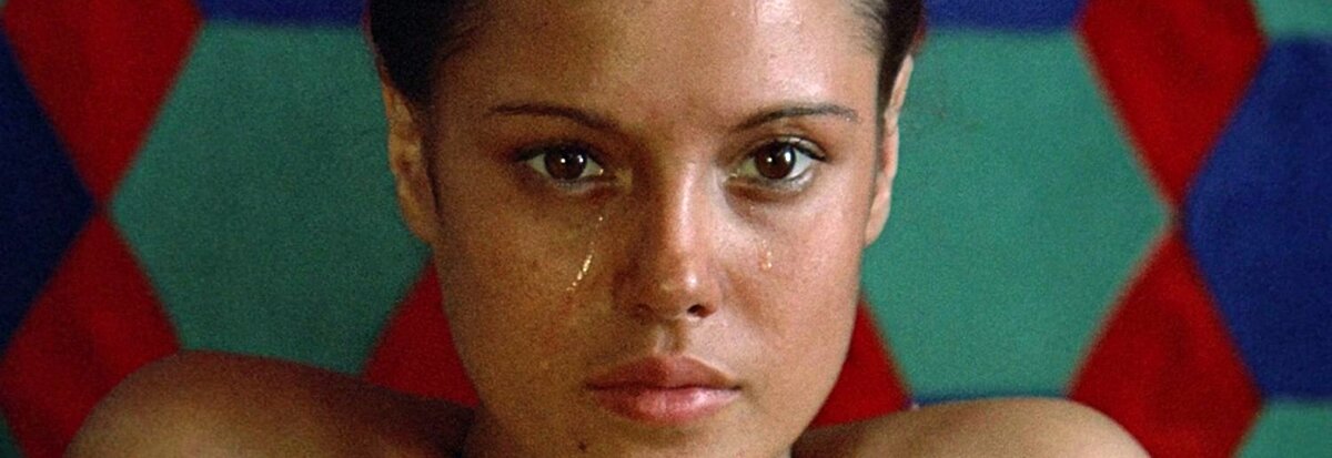 Цветок 1001-й ночи