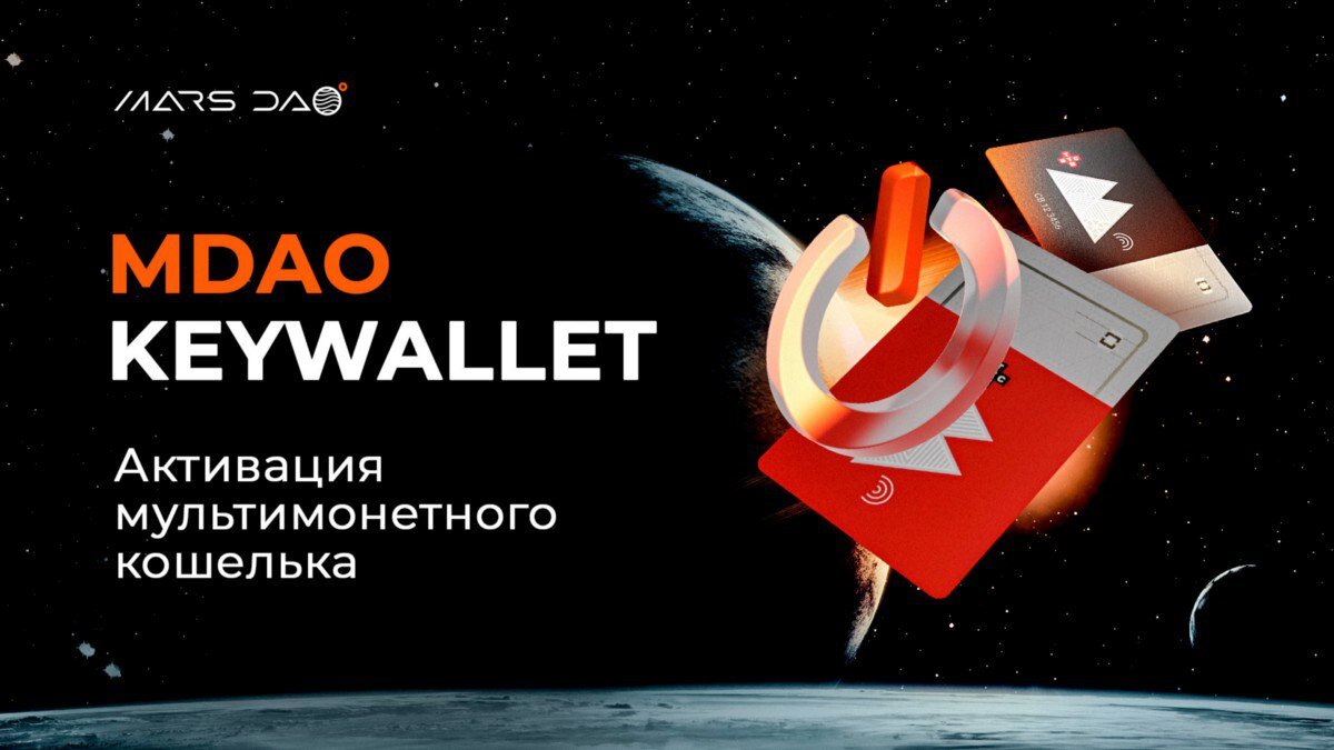 Zavod wallet где взять чертеж