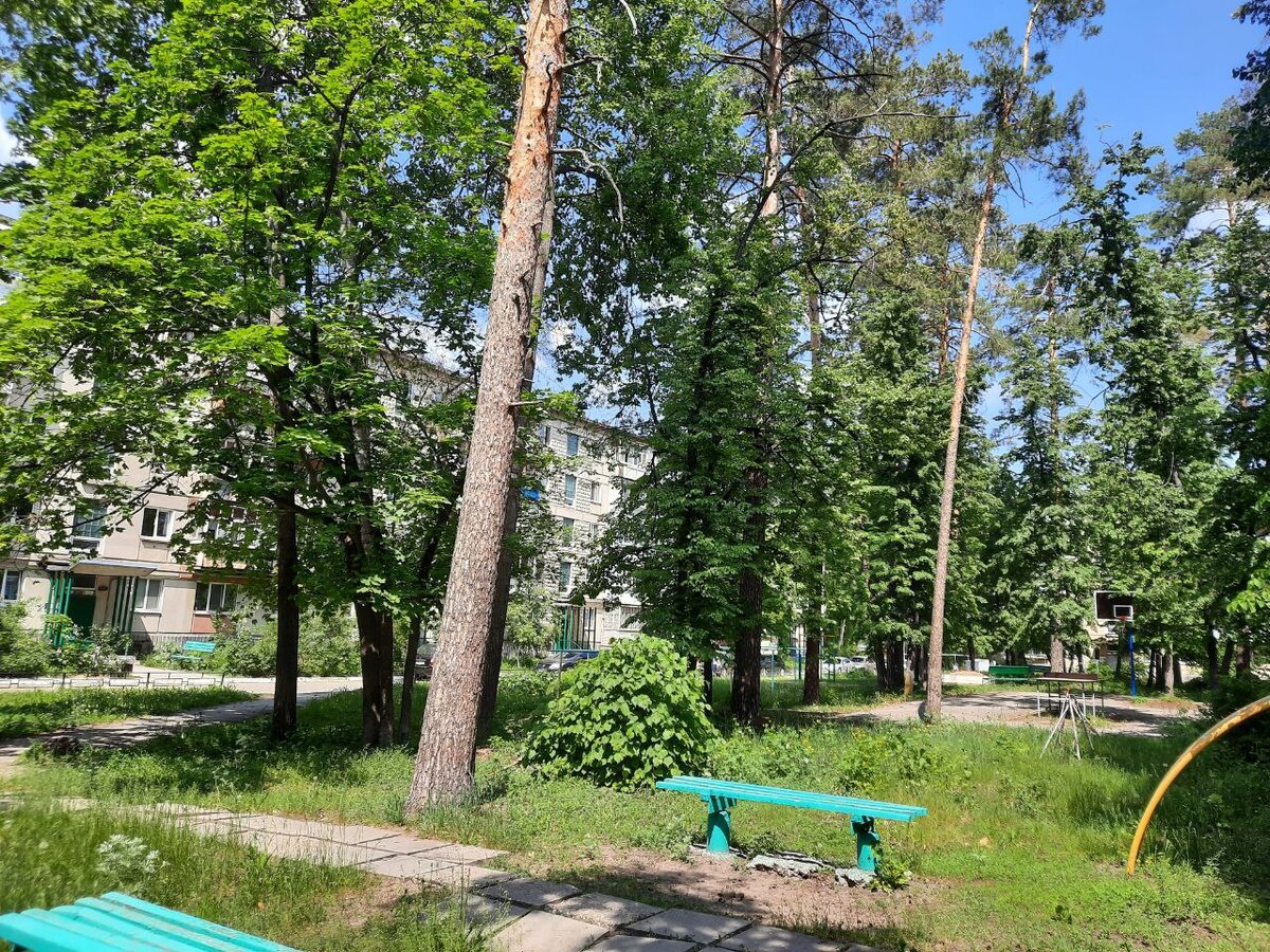 Родной двор. Из детства