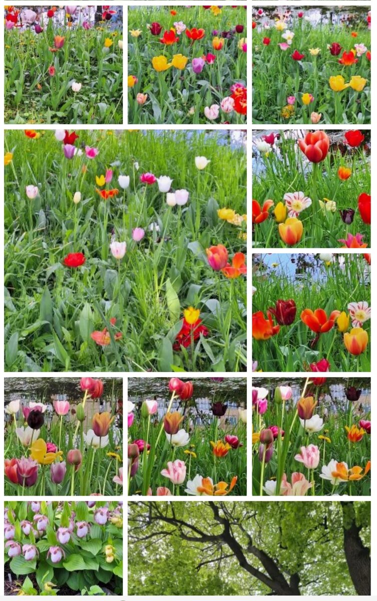 ФОТО "ДЛЯ КРАСОТЫ". СОБСТВЕННОСТЬ АВТОРА КАНАЛА.