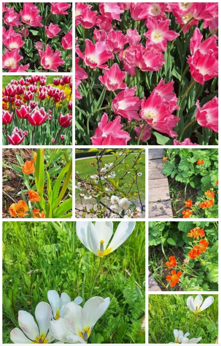 ЭТО ТОЖЕ ФОТО "ДЛЯ КРАСОТЫ" - СОБСТВЕННОСТЬ АВТОРА КАНАЛА.