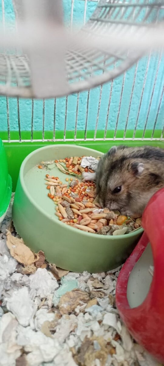 Дядя Роджер