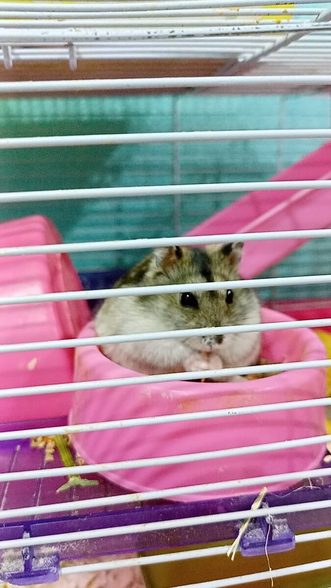 Регина кушает червячка