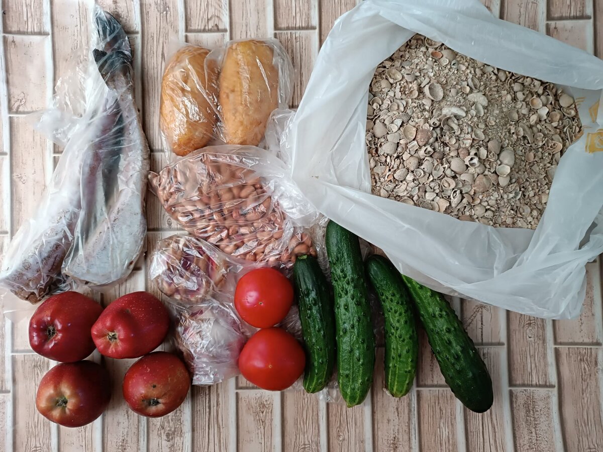 Моя еда и ракушка курам