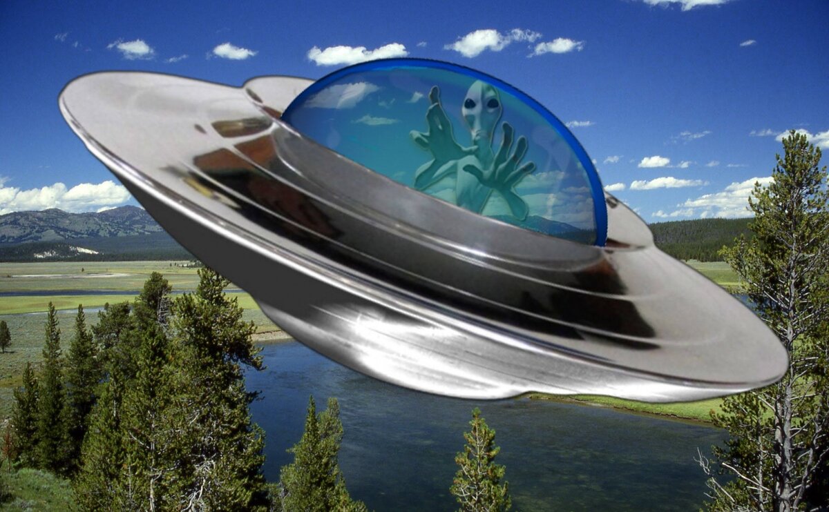 Они возвращаются