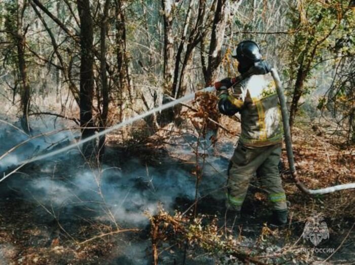 Источник фото: vk.com/mchs_61