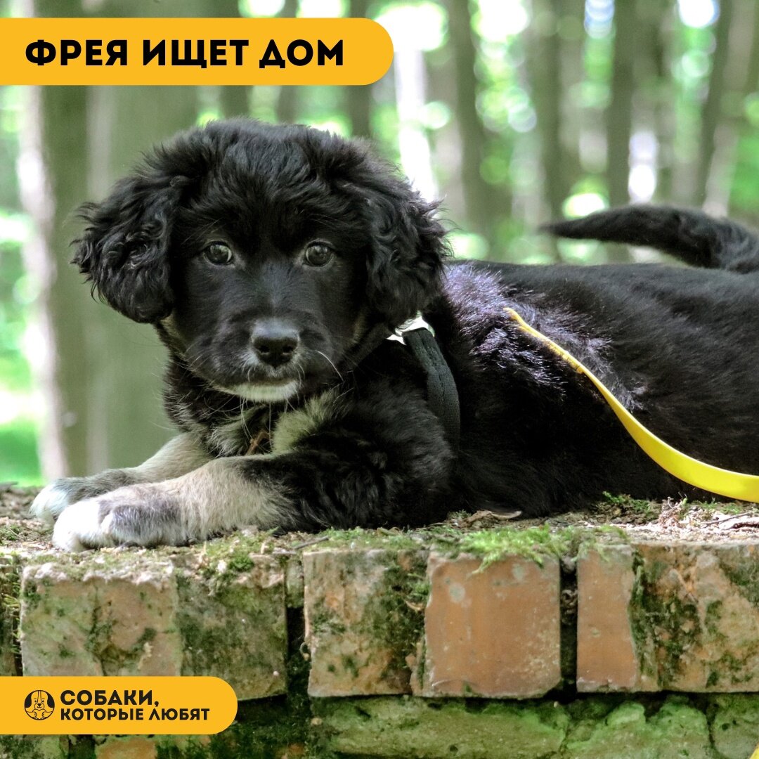 Фото- собственность канала