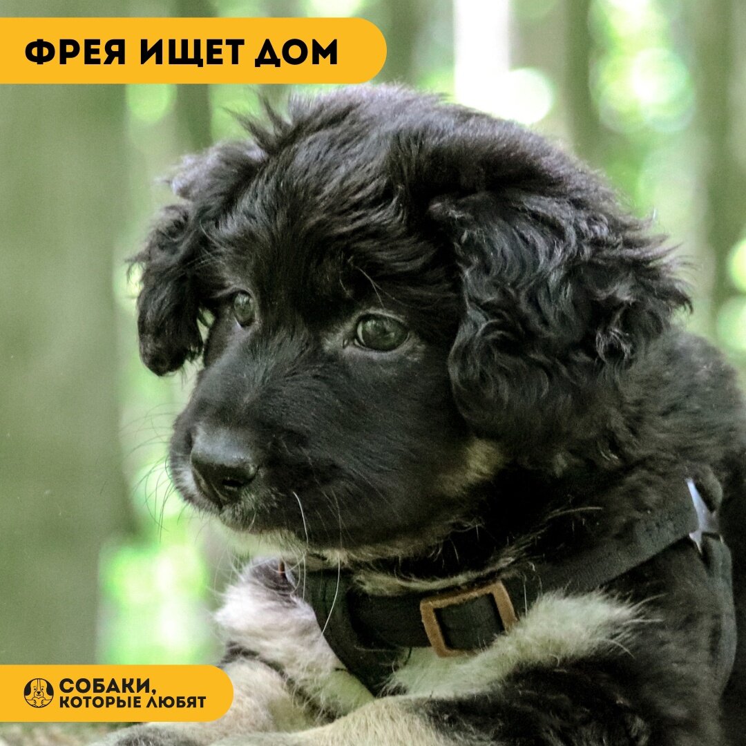 Фото- собственность канала