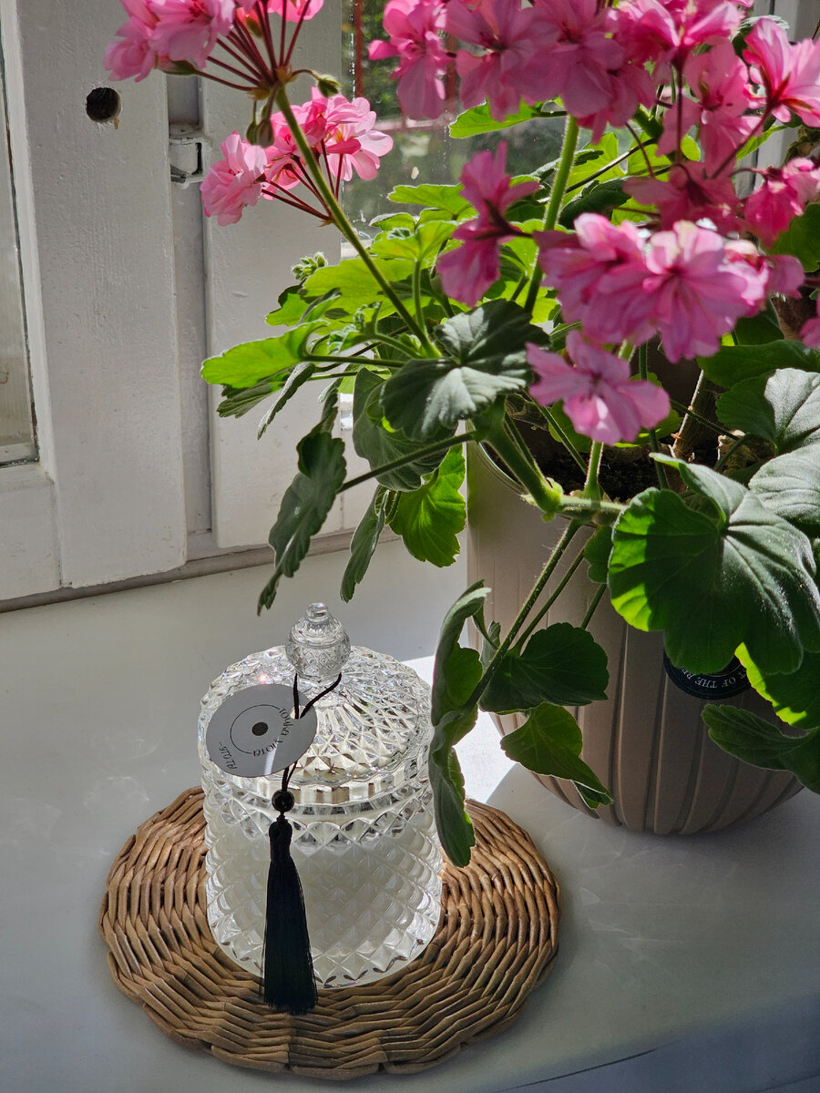 Свеча из кокосоаого воска с деревянным трескучим фитилем