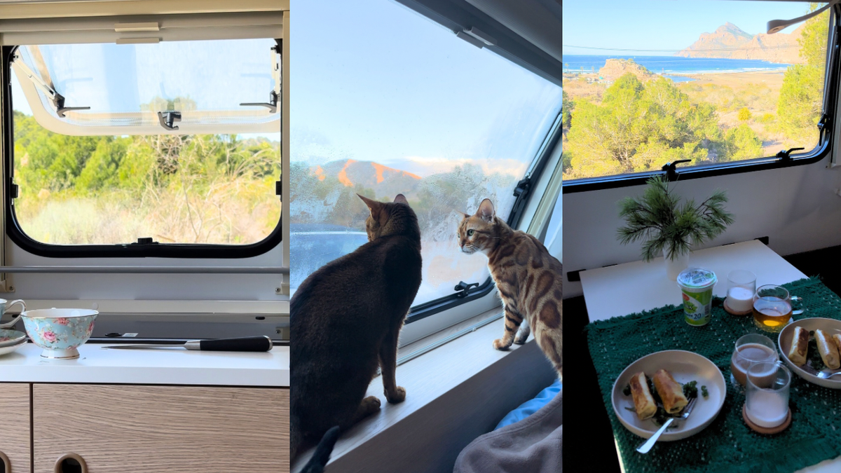 Дикий кемпинг.