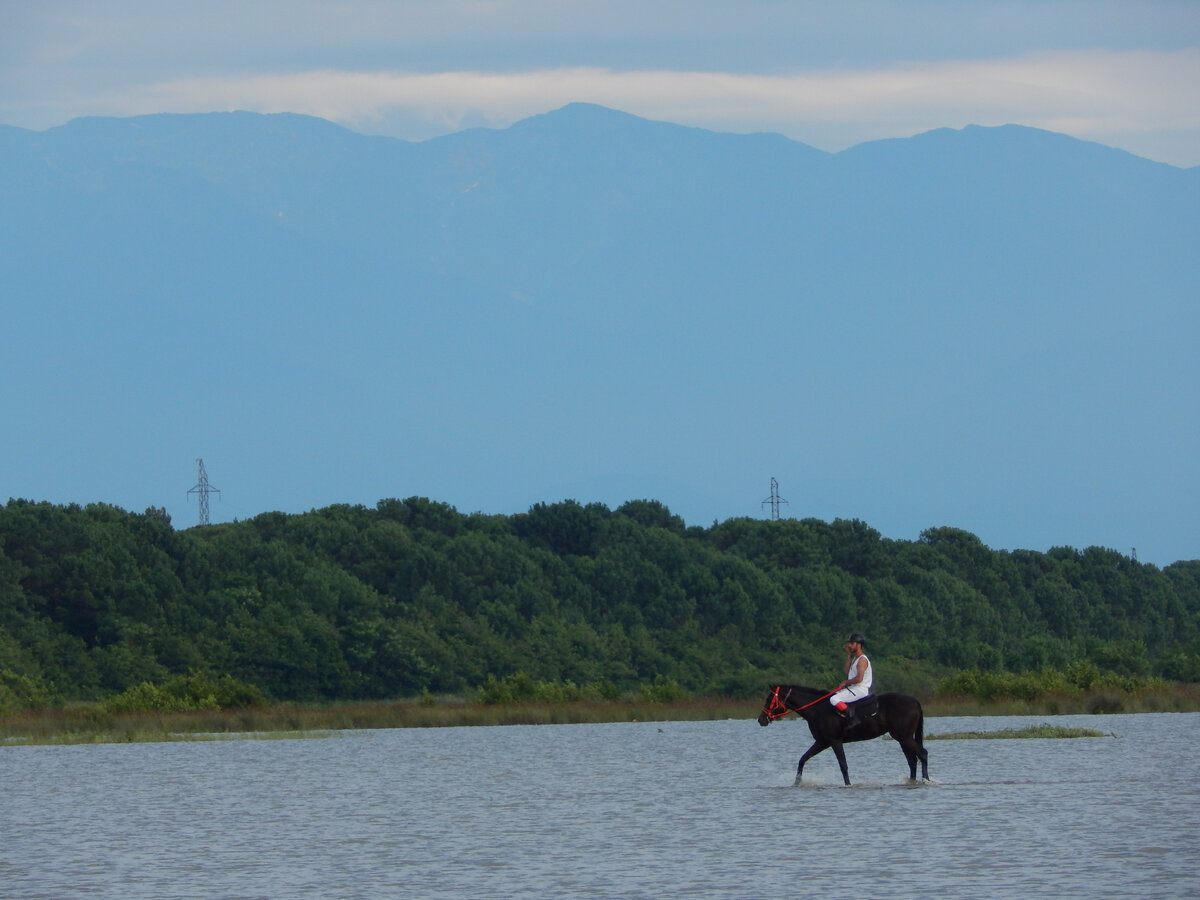 Черное море. Наездник на фоне гор.