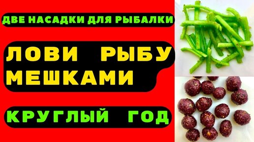 Две насадки для рыбалки на КАРАСЯ, ЛЕЩА, КАРПА. Работают круглый год.