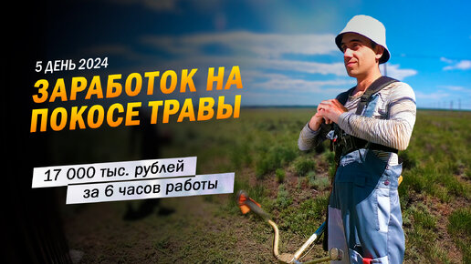 5 | 17 000 тыс. рублей за 6 часов работы. Заработок в деревне на покосе травы триммером.