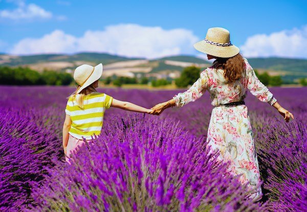 Самые красивые фото получаются в цветущей лаванде