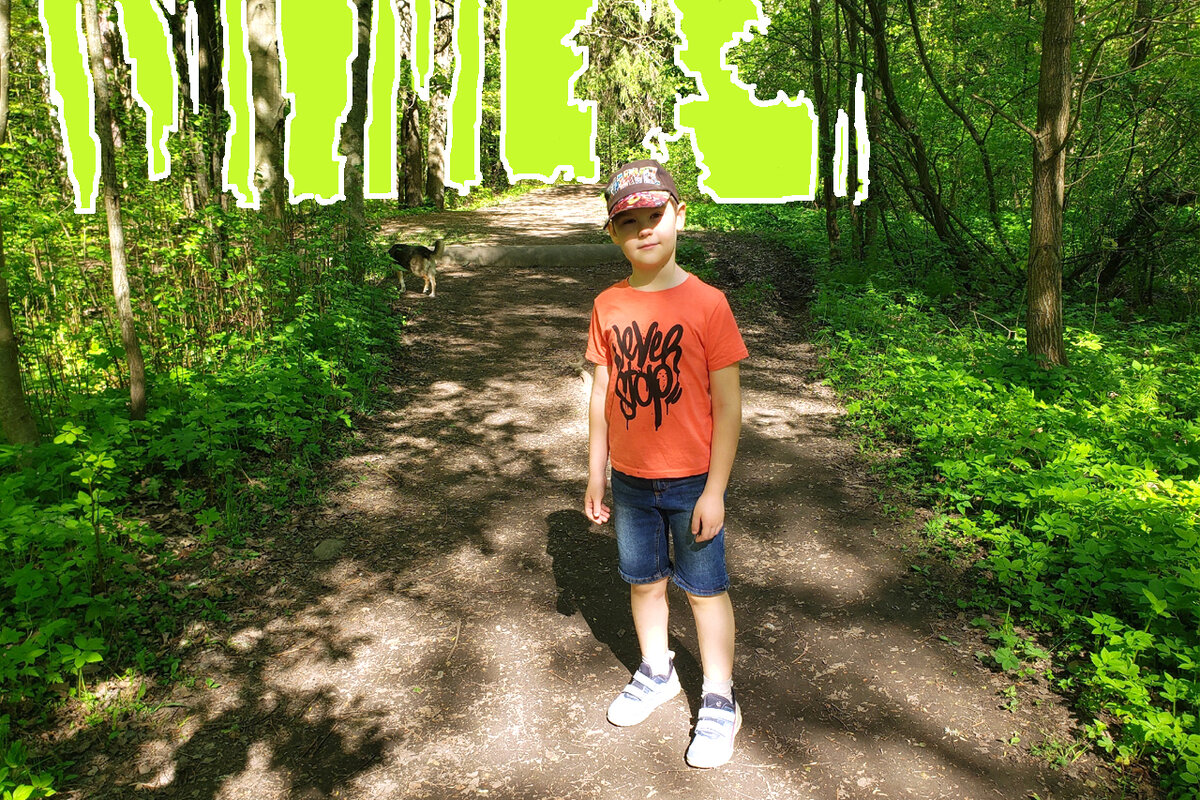 Вовчик с нами на прогулке