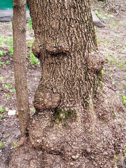 Угрюмый