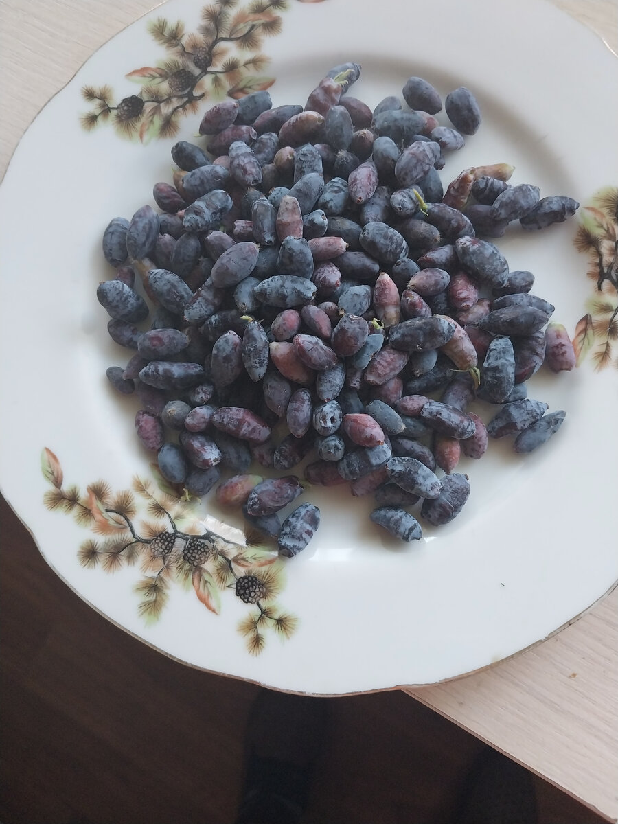 Первые ягодки