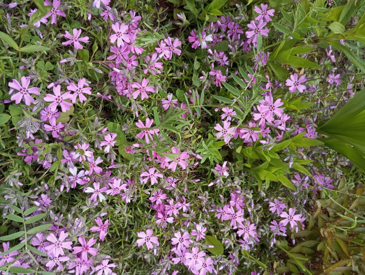 фото номер 1