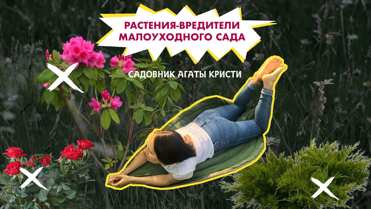 Растения-вредители МАЛОУХОДНОГО САДА | Садовник Агаты Кристи | Дзен