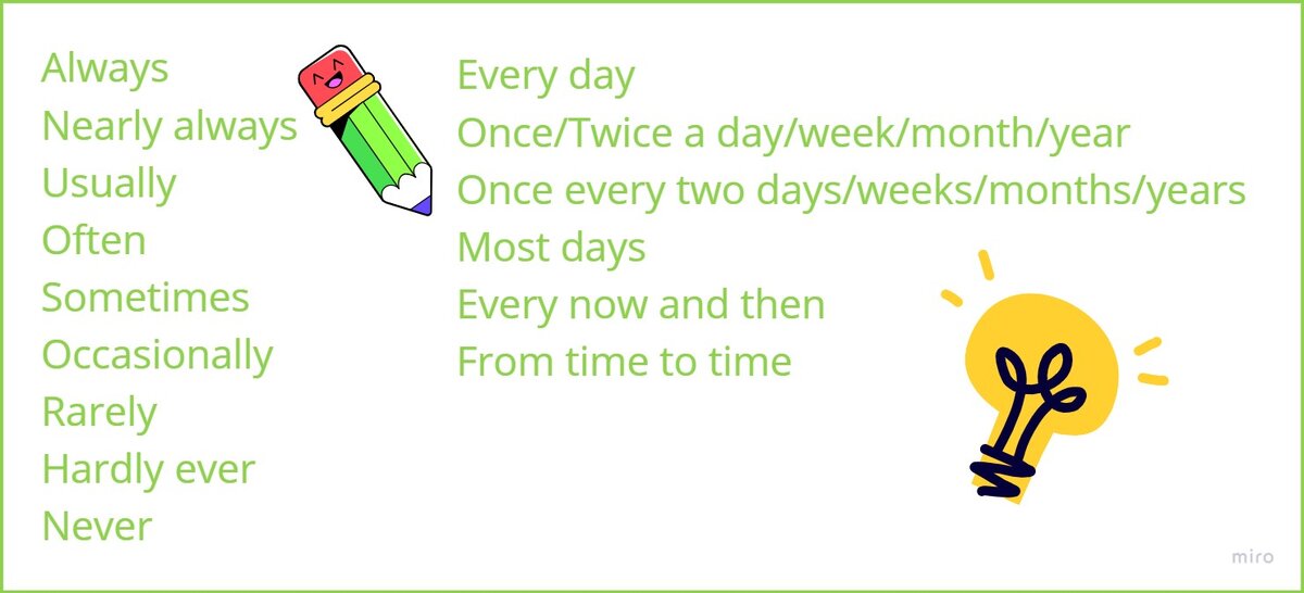 Adverbs of Frequency|Наречия частоты выполнения действия