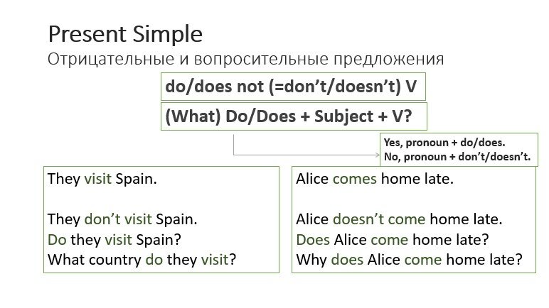 Negative & Interrogative Sentences