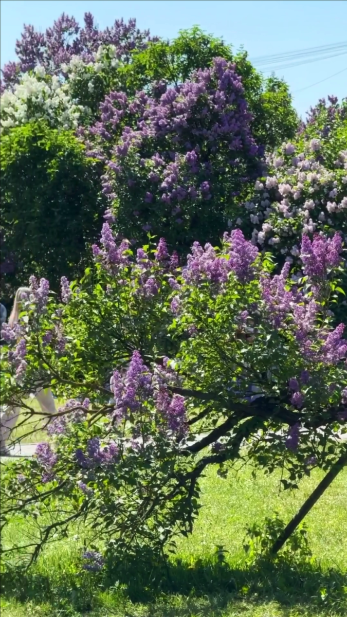 Авторское фото