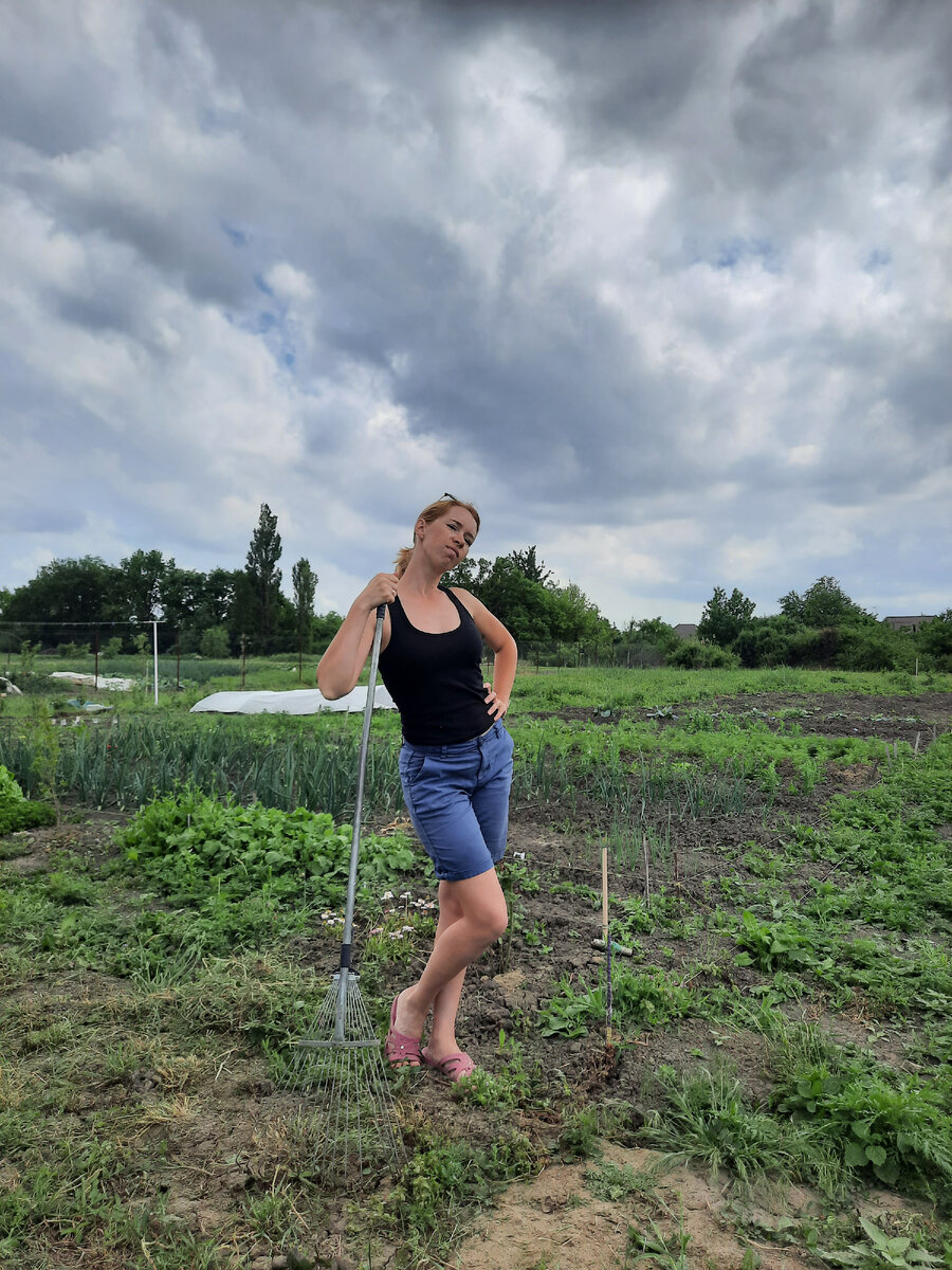 Вид от нынешнего дома на ту часть, где будет новый дом. Новый будет вот там, где кусты примерно.