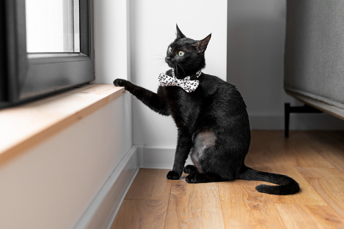 какие бывают москитные сетки