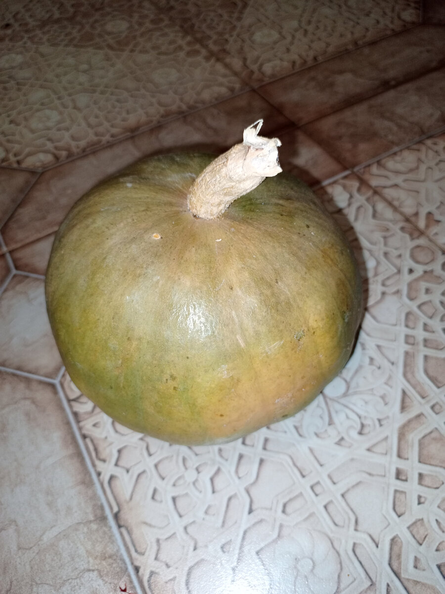 Эксперименты на кухне