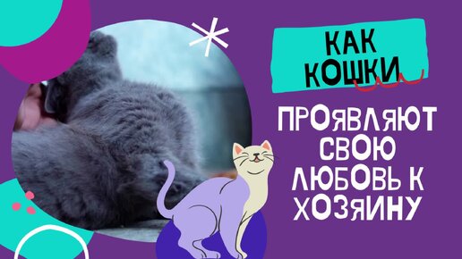 😻Как кошки проявляют свою любовь к хозяину