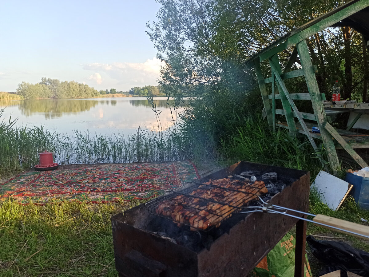 Дорогая моя рыбалка! Почем нынче отдых в Воронежской области! | Не жалея  ног. | Дзен