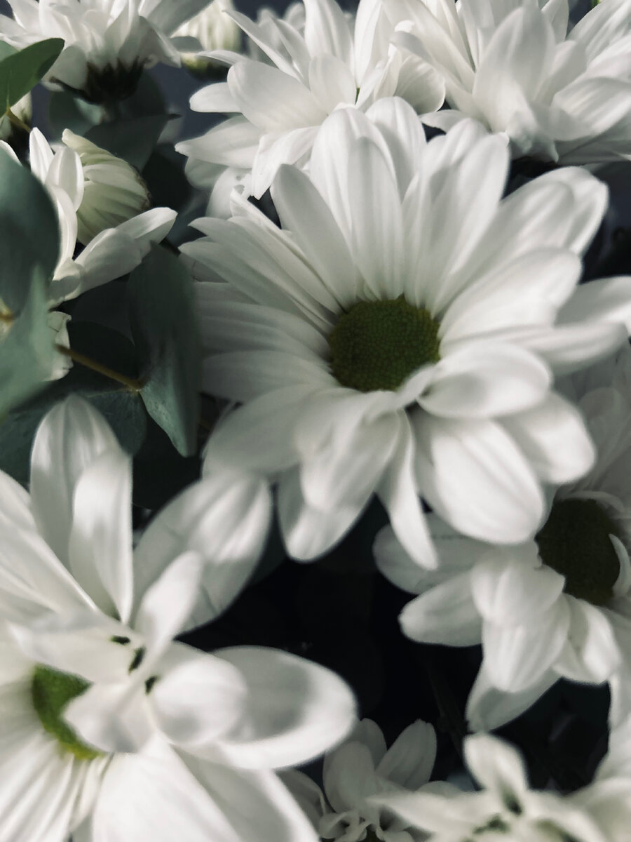 Фотография автора.