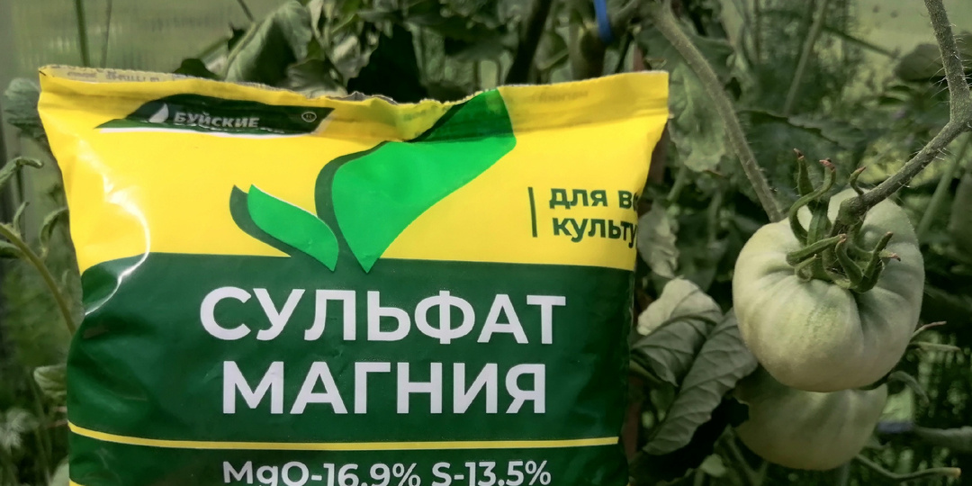 "Удобрения для помидоров" в июне для повышения урожайности. Внесите их и овощи некуда будет складывать