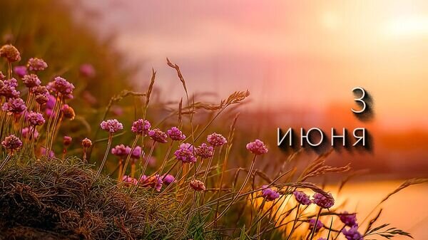    © Photo : Ray Bilcliff: Pexels