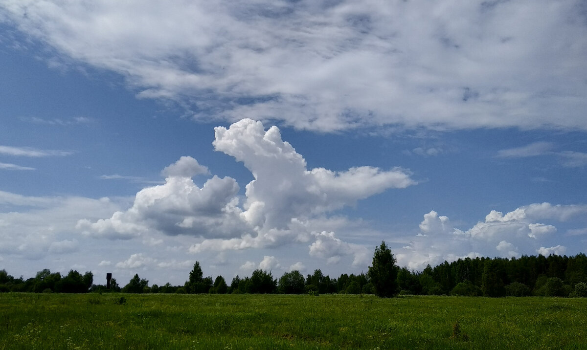 По дороге с облаками (июнь 2024), фото автора