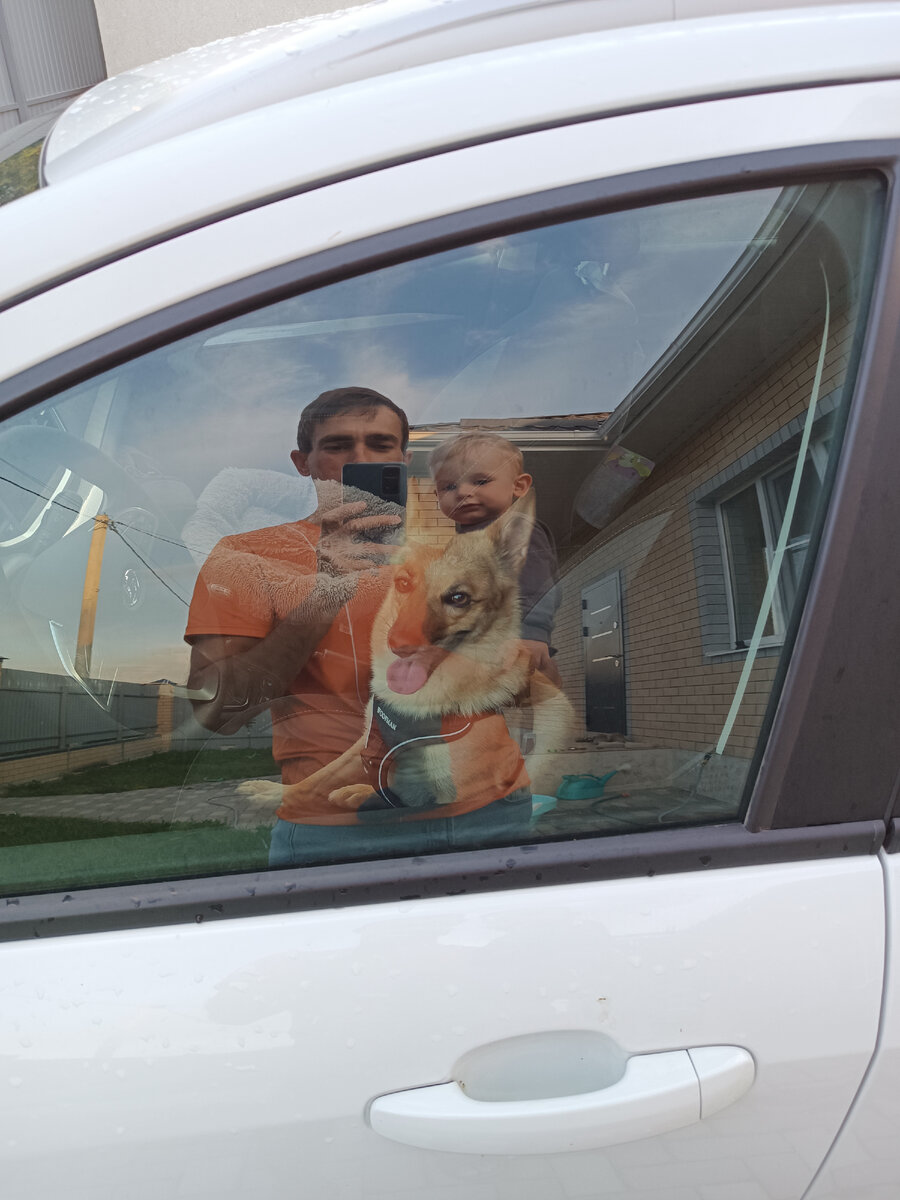 Это мы перед выездом - собака сразу заняла место водителя😎 да и всю дорогу постоянно пыталась мне на ручки забраться🤣