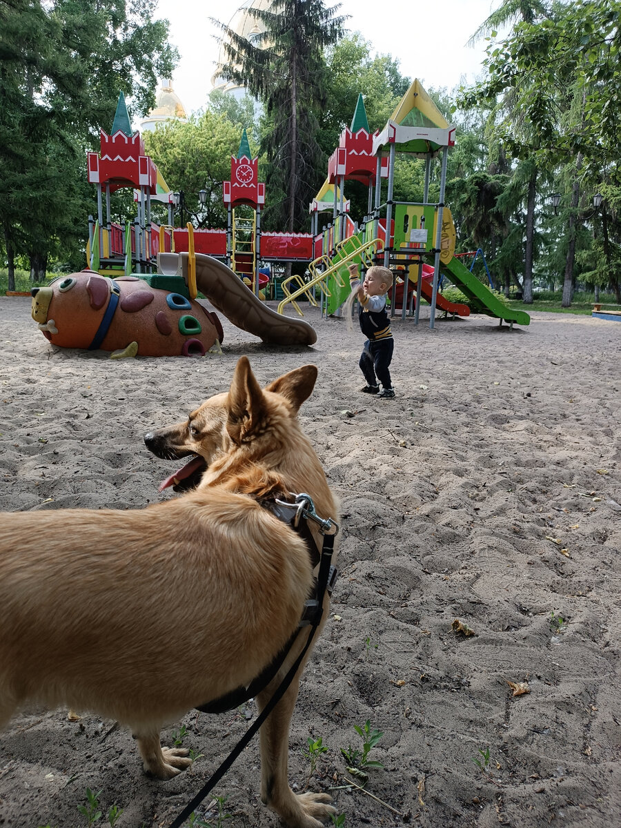 Сашка радостно принимает песочные ванны. За деревьями просматривается огромный собор