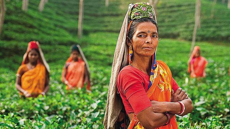     Индия — перспективный рынок для полимер композиционных материалов