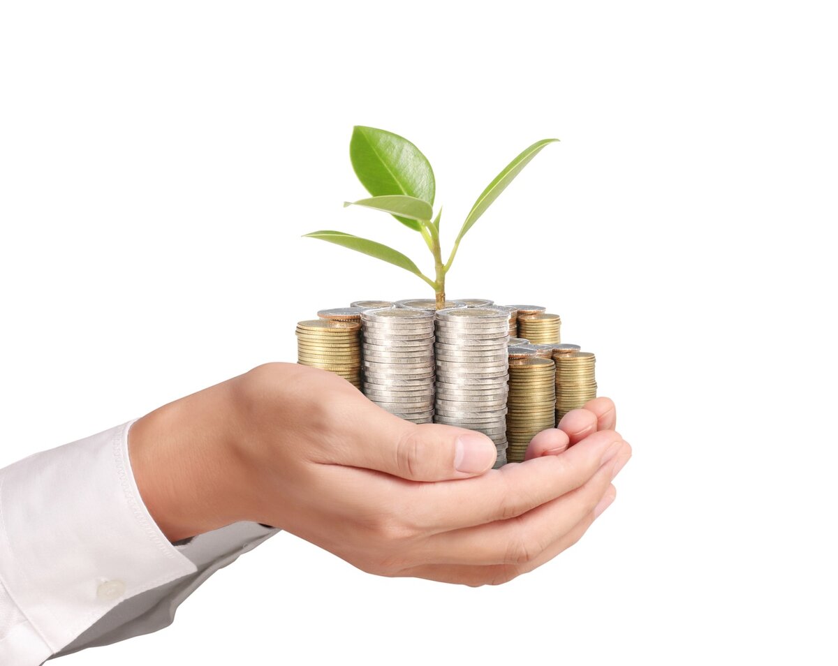 картинка взята с сайта https://yandex.ru/images/search?from=tabbar&img_url=https%3A%2F%2Fpravda35.ru%2Fwp-content%2Fuploads%2F2019%2F04%2Fwo11Yrzc8gI.jpg&lr=56&pos=10&rpt=simage&text=поддержать%20деньгами