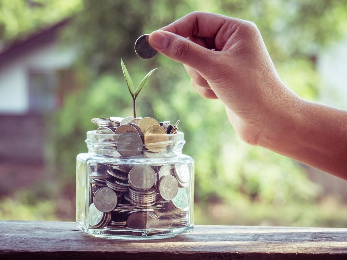    Сбережения© Fotolia / tuk69tuk