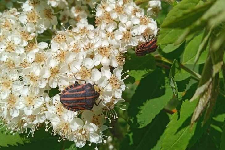    Фото Алексея Яновского специально для VN.ru