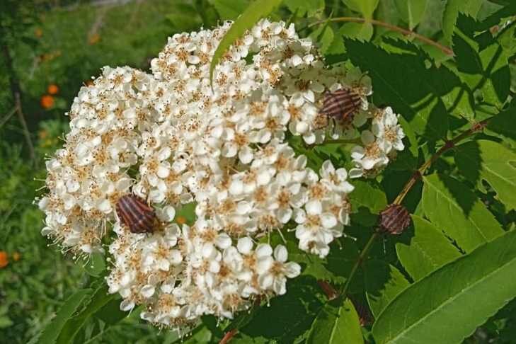 © Фото Алексея Яновского.📷
