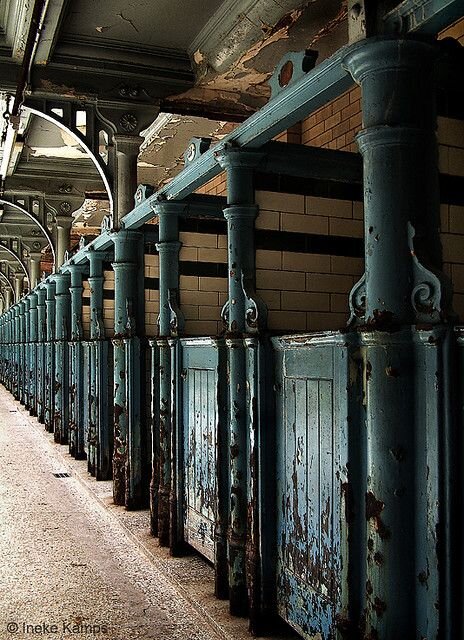 Изображение взято из открытых источников интернета. 