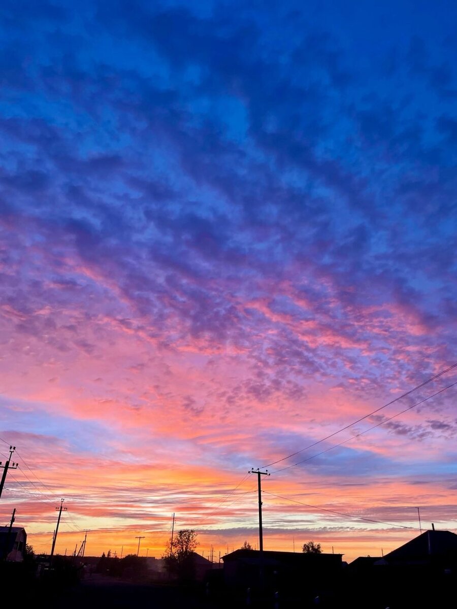    Закат в Алтайском крае. Источник: Барнаул 22