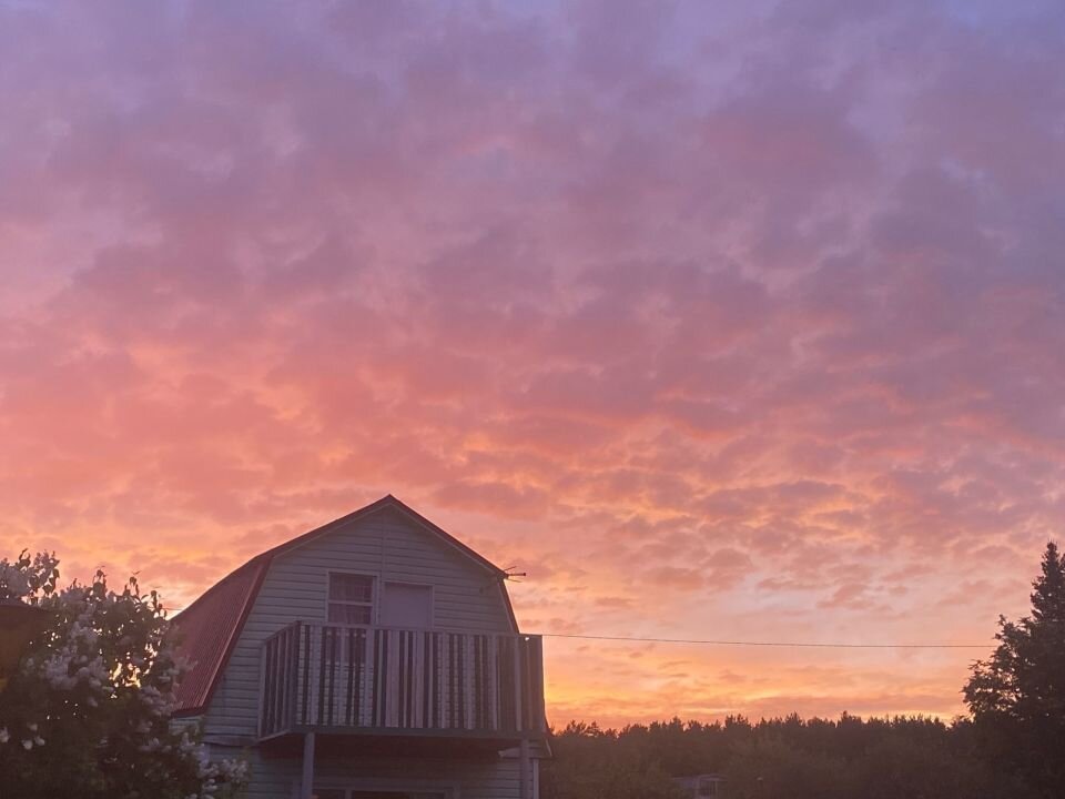    Закат в Алтайском крае. Источник: Барнаул 22