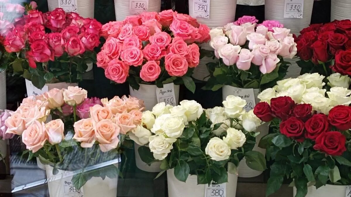     Источник: prmira.ru