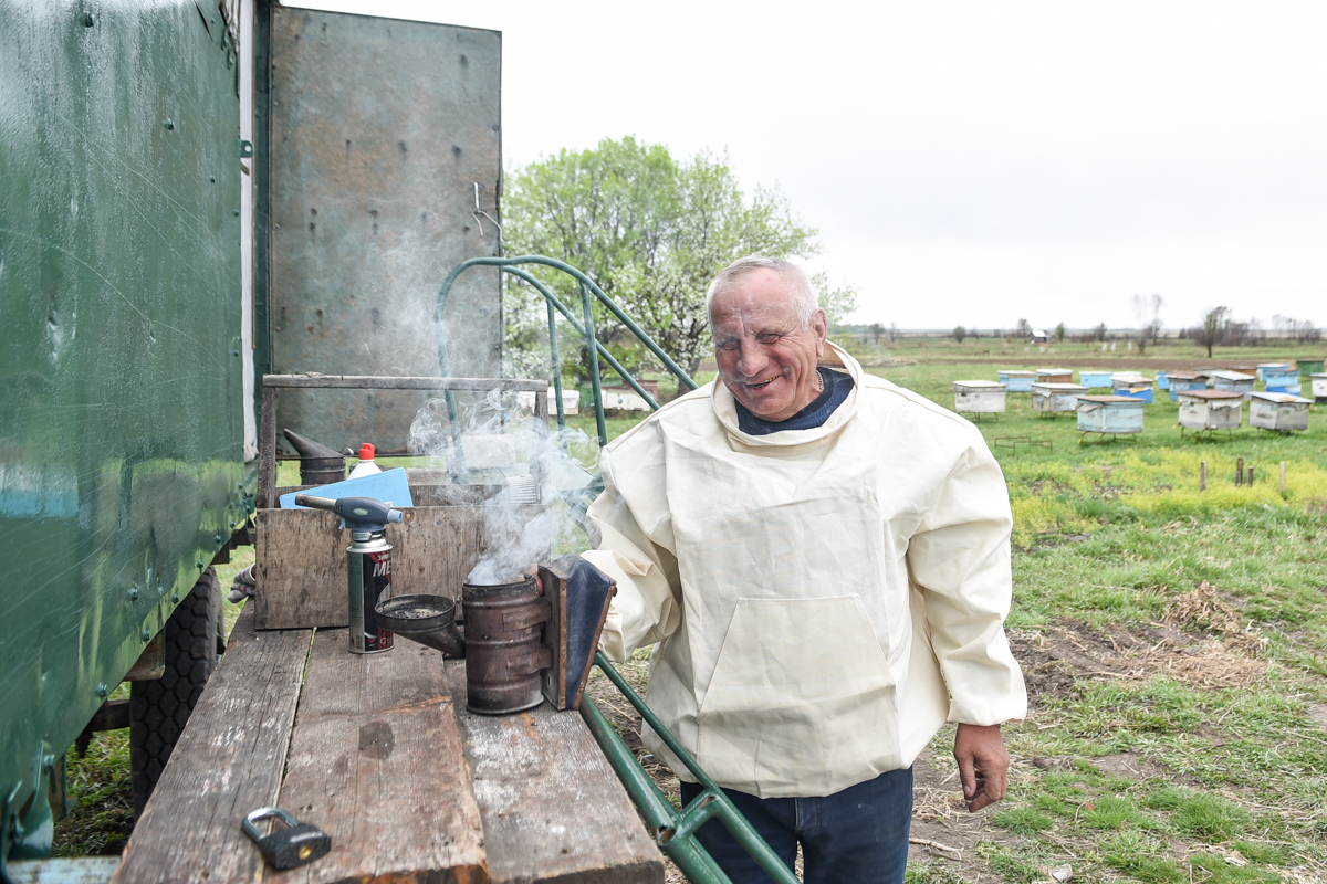 Фото: Алексей Сухушин