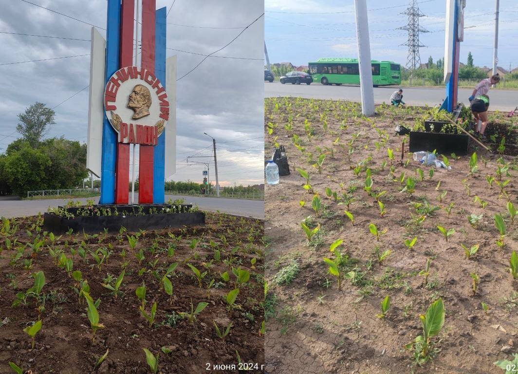    Жители Южного в Оренбурге, не дожидаясь помощи чиновников, сами озеленили территорию