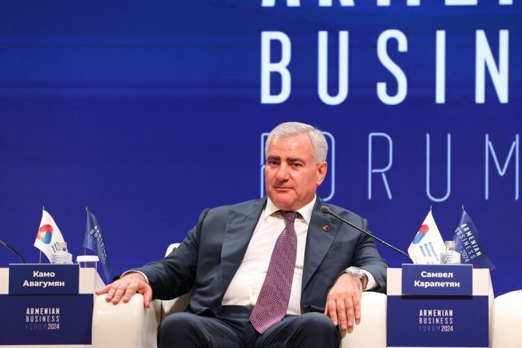 Самвел Карапетян рассказал о планах по созданию новой системы ...