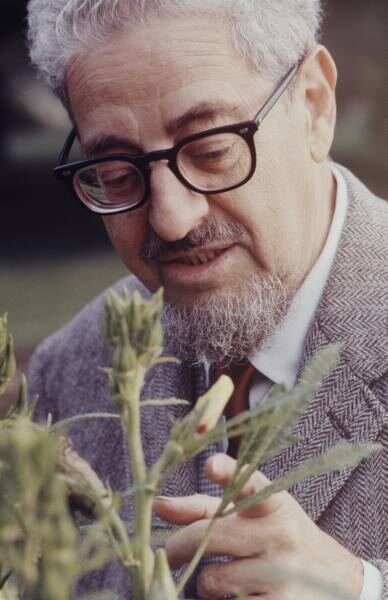  Роберт Родейл